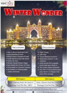 Winter Wonder Dubai Travel Package