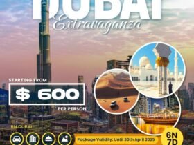 Phoenix Voyage Dubai Package
