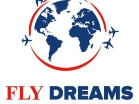 Fly Dream Travels Logo